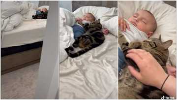 Mom opens room door, sees cat sleeping beside her baby, tells it to stand up in viral funny video