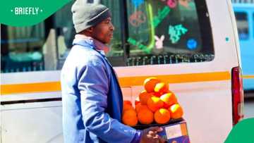 Johannesburg street vendor earns up to R10,000 a month selling naartjies in traffic