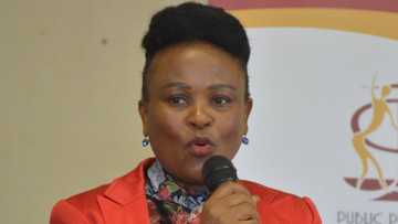 Advocate Busisiwe Mkhwebane: Public Protector's legal woes continue