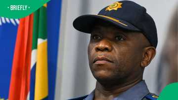 South Africans raise R38k to gift cows to General Mkhwanazi: “He deserves everything and more”
