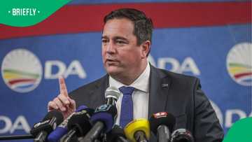 Parliament's committee critiques Steenhuisen's conduct amid rising tensions over FMD response