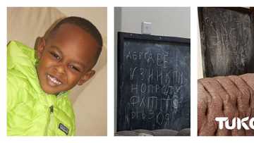 Boy, 5, with photographic memory writes the alphabet in 6 languages