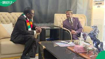 King Misuzulu defends South Africa's immigration laws during meeting with Zimbabwean President
