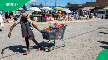 StatsSA reveals that Consumer Price inflation increases as food prices increase
