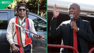 Gauteng High Court rules in favour of EFF's Julius Malema in defamation case against Ngizwe Mchunu