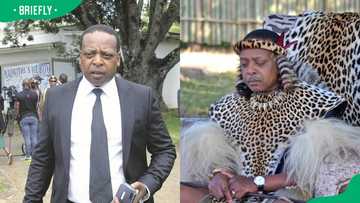 Who is Prince Simakade Zulu? Is he the rightful heir of the Zulu throne?