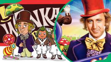 All Willy Wonka movies in order: the ultimate watch guide for fans