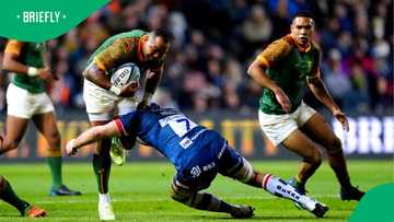 Rugby mourns: Springbok star Cornal Hendricks funeral details confirmed
