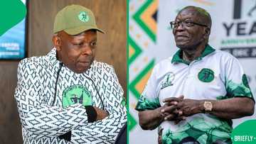 John Hlope slams Duduzile Zuma-Sambudla and Nhlamulo Ndhlela's conduct in meetings, SA not surprised