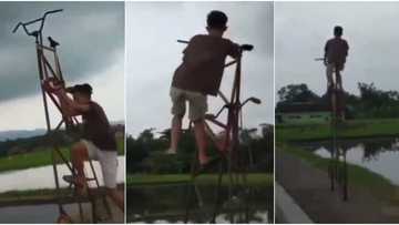 Young boy causes massive stir online with tall bicycle as he displays balancing skills