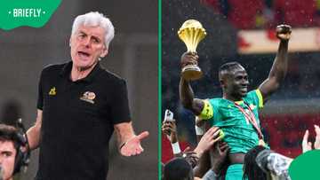 Broos blasts CAF over Senegal AFCON 2025 title decision