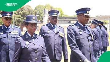 Portfolio Committee on Police demand skills audit for senior SAPS members