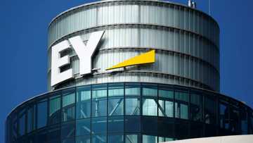 Record Ernst & Young fine in US for cheating on ethics exams
