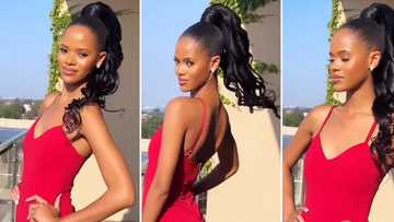 "Our gorgeous queen": Peeps gush over Miss SA's sleek ponytail & glam red outfit