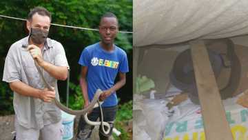 Nick Evans shares how teen was rudely woken up by big mamba in his room