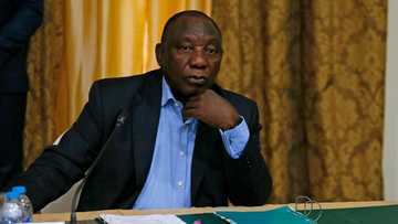 President Cyril Ramaphosa avoids subpoena, answers public protector's 31 questions on Phala Phala farm theft