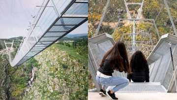 Portugal impresses the world as it officially opens world's longest pedestrian suspension bridge
