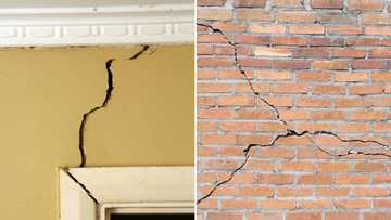4.2 magnitude tremor wakes residents of Westonaria in Gauteng, SA reacts