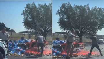 Farmer and potato looter exchange blows after truck overturns, video has SA howling: “Looting is in the blood”