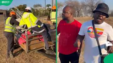 “Tribalism has started”: Alleged Zulu workers chased from Limpopo working site in tense TikTok video