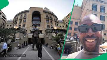 UK man in South Africa raves about Nelson Mandela Square in TikTok video and delights Mzansi