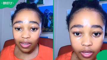 "This is alarming": Woman compares McD and Burger King burgers in shocking four-month rot test