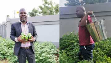 "The soil is the best giver": Cabbage Bandit's garden is thriving, feeds 6 families