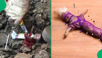 "Don't forget to pray": Men stumble upon buried voodoo doll, break spell