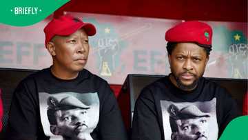 Mbuyiseni Ndlozi Latest News and Reports on Briefly.co.za