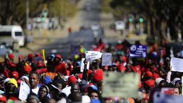 SA rallies behind petition for Bongani Bingwa to apologise for immigration views