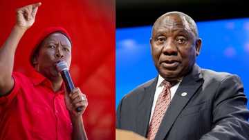 EFF's Julius Malema wants NPA to prosecute President Cyril Ramaphosa for Marikana massacre