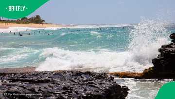 Search underway for missing 14-year-old Western Cape teen who was last seen swimming