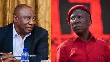 Julius Malema calls for an increase of R350 grant, says it needs to be permanent