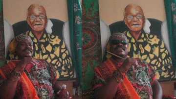 "Mara Rasta": SA fails to see art in Rasta's Jacob Zuma bday painting