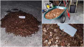 Man asks boss for last salary, finds a pile of dirty coins in driveway