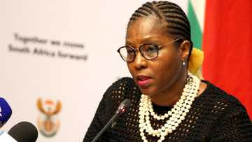 Senior managers working the public sector will not be investigated says Minister Ayanda Dlodlo