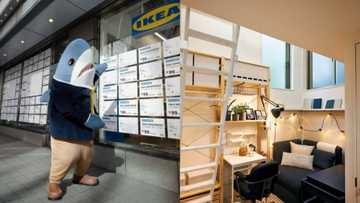 Retail giant in Japan plans to lease 'Tiny Homes' for just R13.62 per month in Tokyo