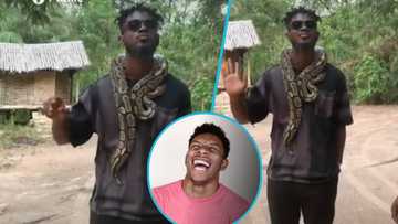 Man in fear over snake around his neck, video trends: “Come and remove it?”
