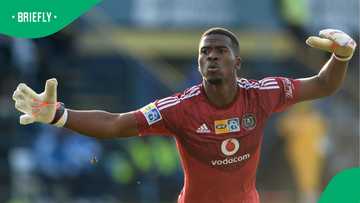 Senzo Mayiwa murder case deliberated on evidence given by late Khumalo's neighbour