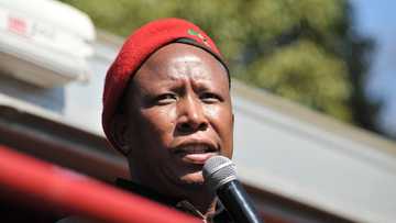 Supreme Court of Appeal dismisses Malema’s defamation lawsuit against former MP