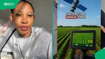 SA TikToker reveals 5 modern agriculture careers that are changing farming forever