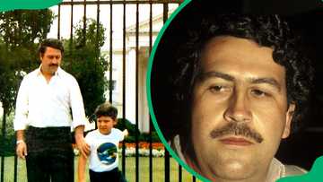 Pablo Escobar's White House photo: What really happened?