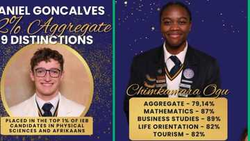 Matric results 2023: Northern Cape school's top performer bags 9 distinctions, more star pupils celebrated