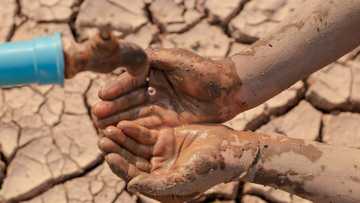 Nelson Mandela Bay dams running dry, officials say there is enough water for 38 days due to ongoing drought