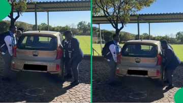 Schoolboys hilariously pick up teacher's Kia in a video, leaving SA in laughter