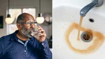 SA’s poor water quality direct result of negligence and inadequate infrastructure at treatment plants