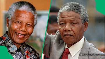 "Father of the nation": Nelson Mandela's family tree shows incredible legacy spanning 3 generations