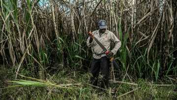 Colombia's territorial battle between Indigenous and Black communities