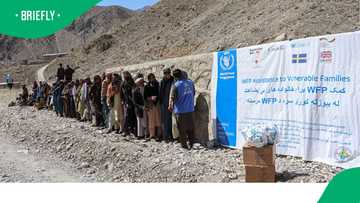 Food prices shock: WFP warns 45 million more people could go hungry in 2026