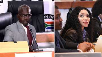 Malusi Gigaba claims he thought Norma Mngoma paid for their honeymoon
